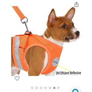 Xs small dog harness with reflective tape